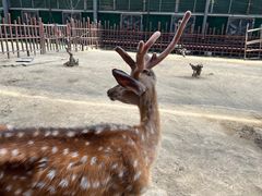 -呀路古热带植物园
