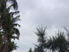 -万绿园