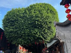 -永和鱼丸(南后街店)