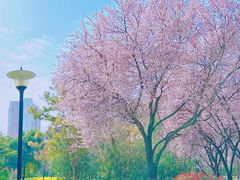 -大秦面庄(青松路店)