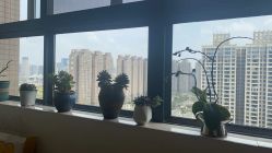 -后素孕产瑜伽·运动康复中心
