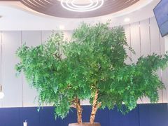 大堂-CoCo都可(中联广场店)