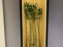 -FineYoga梵音瑜伽·普拉提