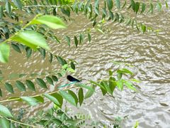 -西安大兴汤院遗址公园