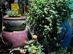 -又见炊烟私房菜(敬亭路店)