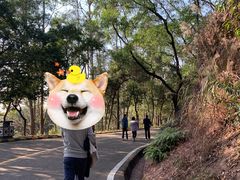 -大雁山风景区