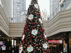 -中海环宇荟