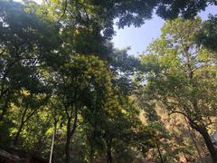 -北京上方山国家森林公园