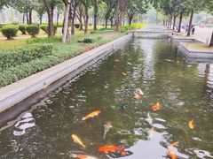 -顺峰山公园
