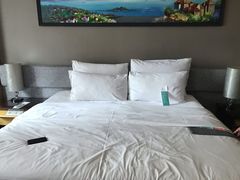 -青岛富力艾美酒店