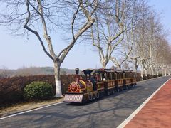 -宜兴龙背山森林公园