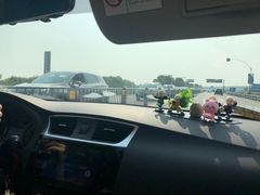 -合肥滨湖国家森林公园