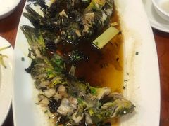 -钓台野鱼馆(钱江国际时代广场店)