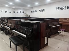 -天籁琴行(淘金店)