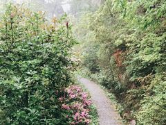 -南岳衡山风景名胜区