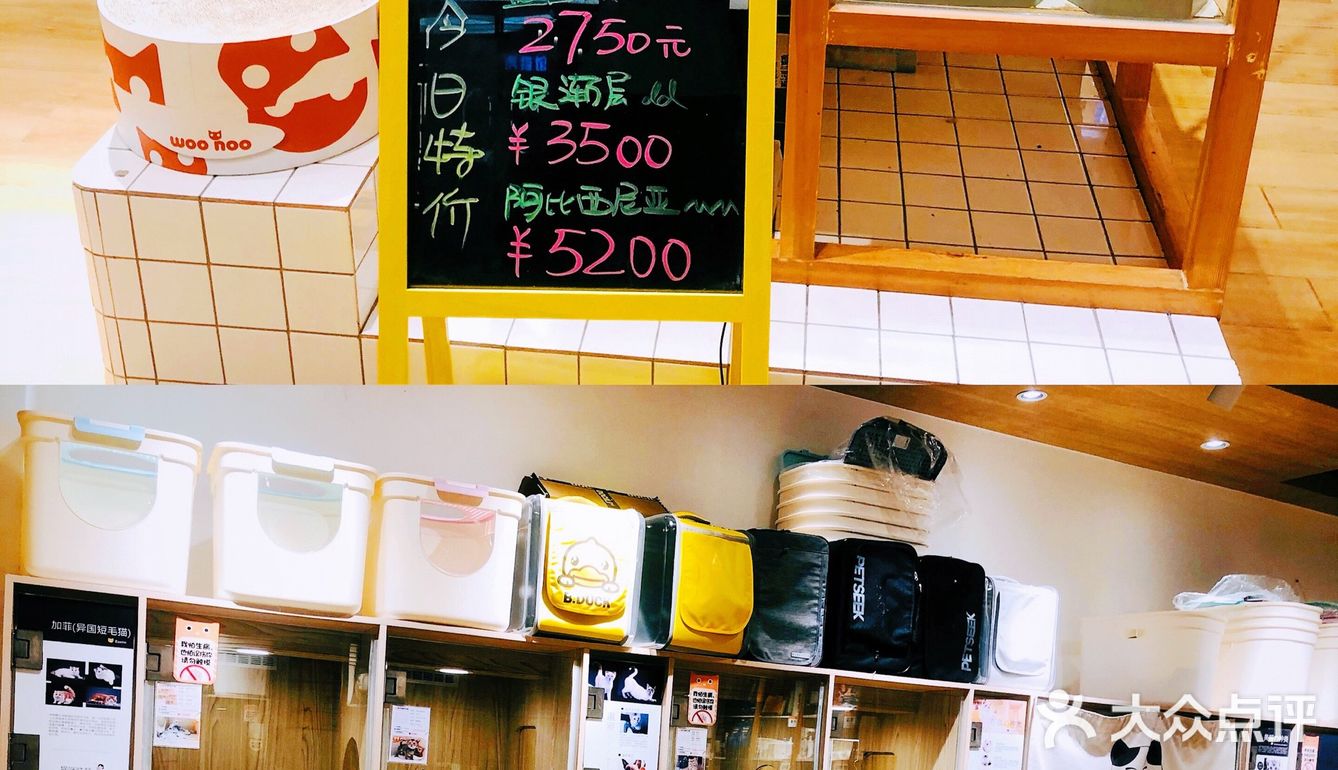 剁手买买买！超300家大牌5折起‼️来撸羊毛啦