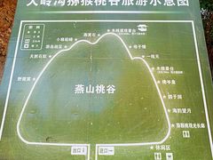 -大岭沟猕猴桃谷风景区