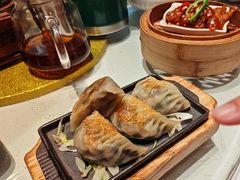 铁板羊肉饺子-新兴·金羊座·粤菜点心(乐峰店)