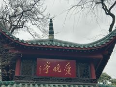 -14栋家菜馆(麓山南路店)