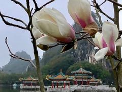 -星湖旅游景区七星岩