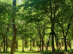 -上海浦江郊野公园-5号停车场