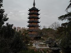 -红梅公园