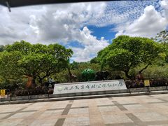 -广东茂名森林公园