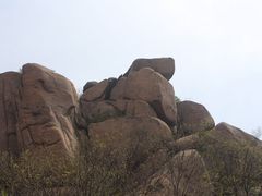 -鲁山国家森林公园