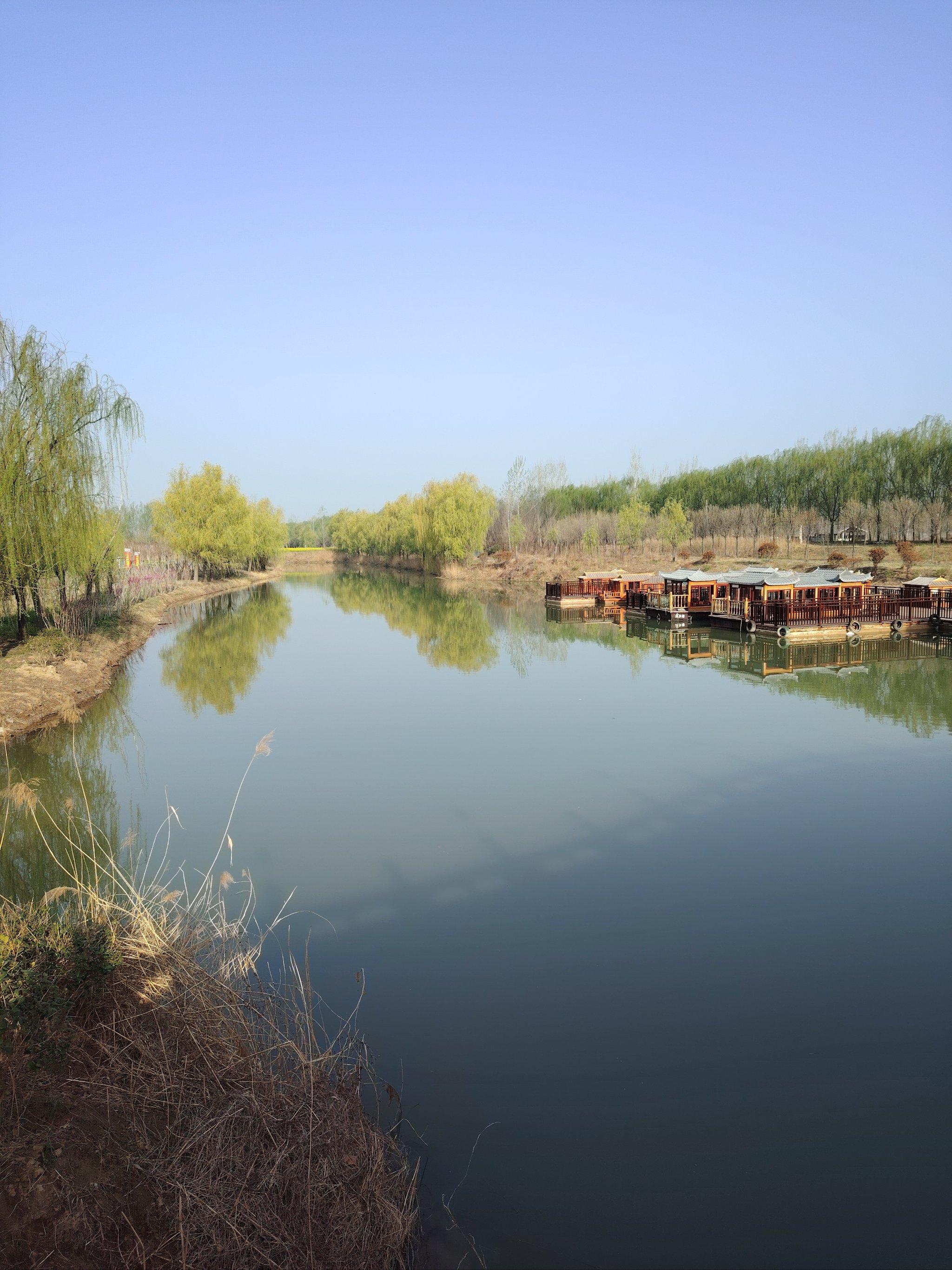 陈桥湿地公园图片图片