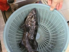 -鑫鸿达·海鲜闽菜热炒小馆(中山路店)