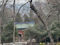 -灵谷景区