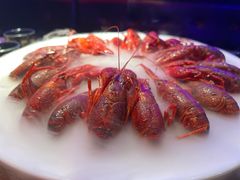 -红盔甲·小龙虾(车公庙店)