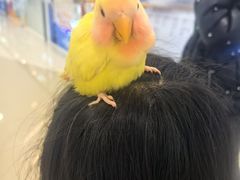 -芭菲盛宴·环球美食(北城国际店)