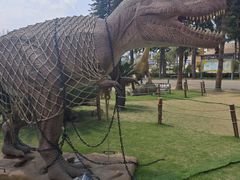 -自贡恐龙博物馆