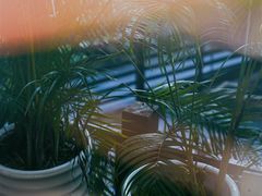 -樾餐厅泰式海鲜火锅(民歌湖店)