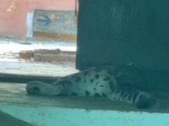 -青藏高原野生动物园
