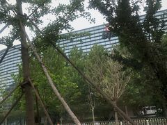 -新浪总部大厦