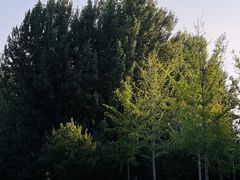 -回龙观体育文化公园