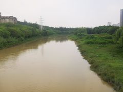 -广东花都湖国家湿地公园