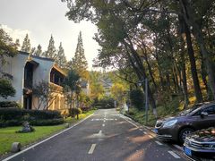 -杭州雅谷泉山庄酒店-餐厅