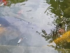 -北京市海淀外国语实验学校