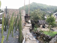 -MOJ coffee(瓯海泽雅水碓坑店)