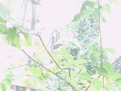 -默迹咖啡馆