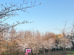 -自然谷恐龙园