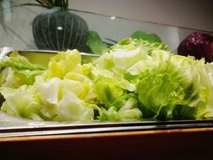 -许小树(国贸商城店)