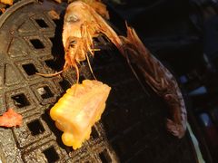 -本寻烧肉酒场(双井店)