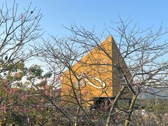-福道