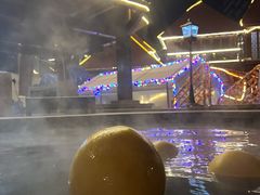 -裕龙汤泉