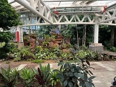 -石家庄市植物园