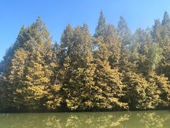 -世纪公园-世纪春沁园